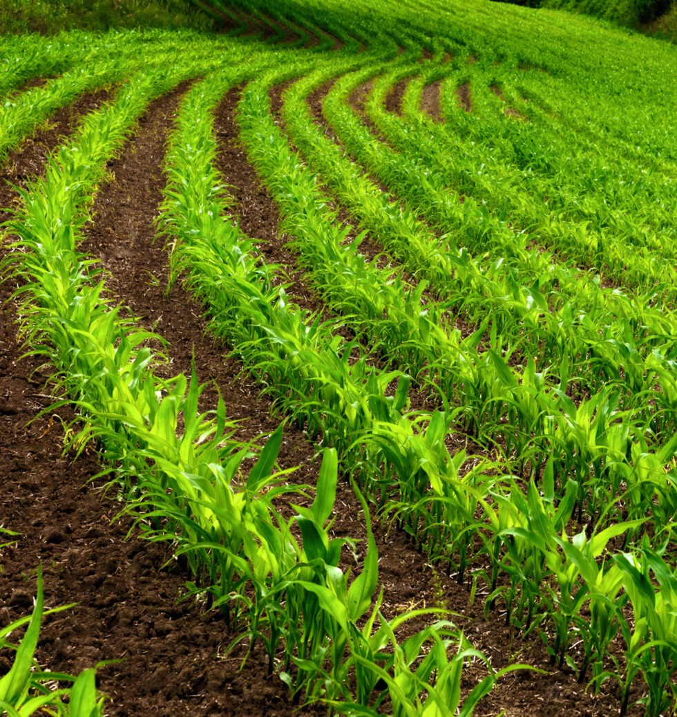 Grain Logistics Services Tuscarora Grain Company